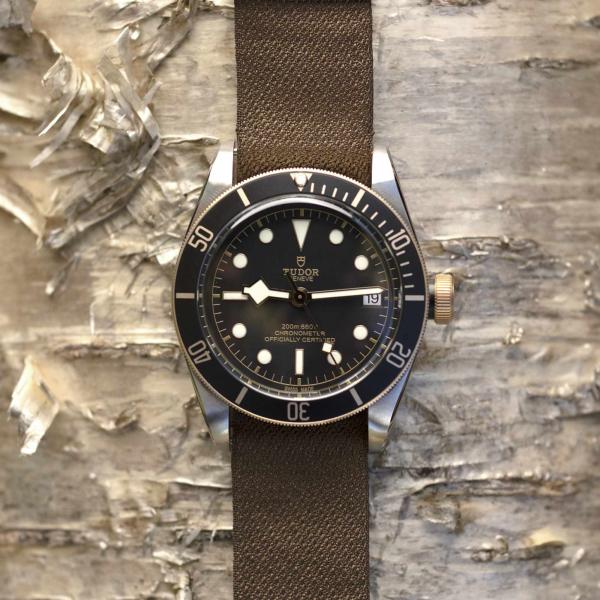 TUDOR Black Bay S&G (Ref: M79733N-0005)