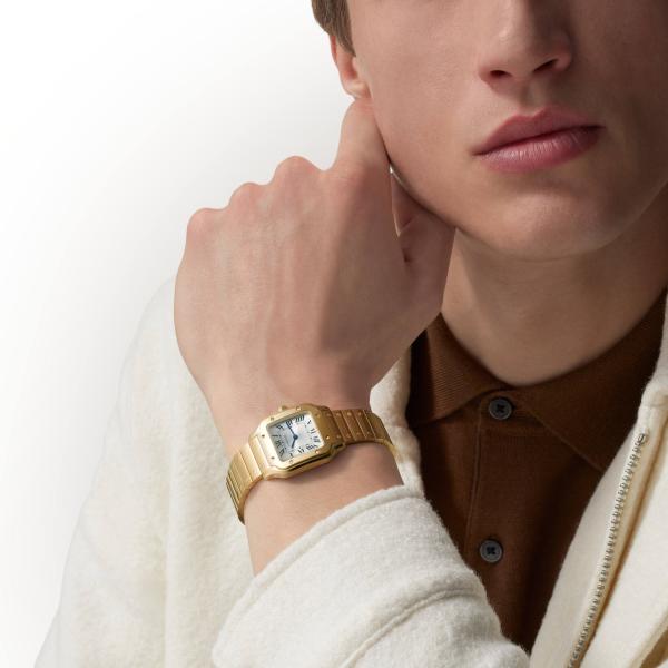 Cartier Santos de Cartier (Ref: WGSA0107)