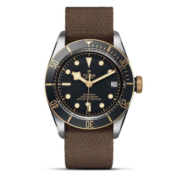 TUDOR Black Bay S&G (Ref: M79733N-0005)