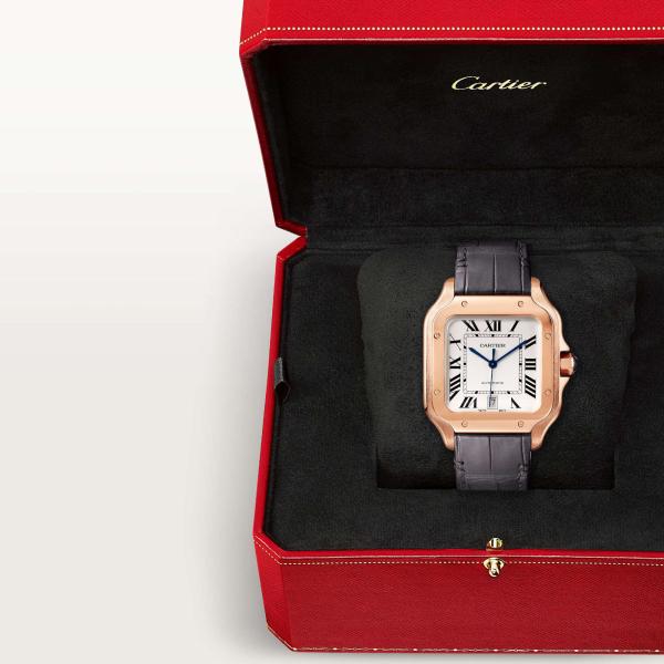 Cartier Santos de Cartier (Ref: WGSA0019)