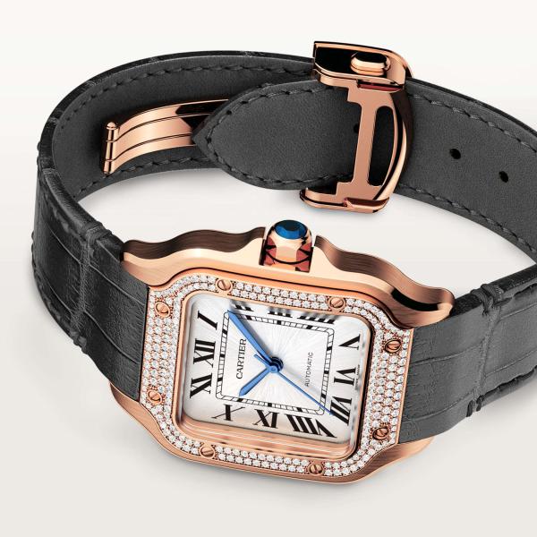 Cartier Santos de Cartier (Ref: WJSA0012)
