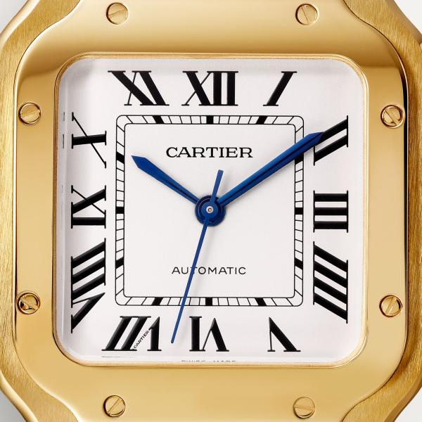 Cartier Santos de Cartier (Ref: WGSA0030)