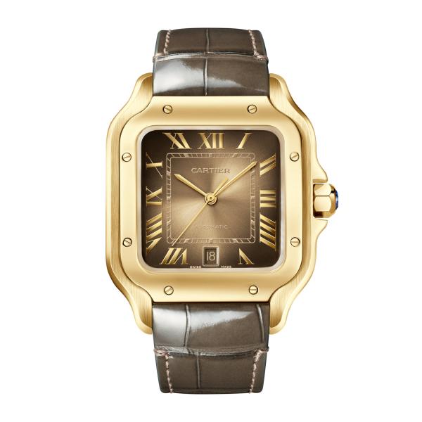 Cartier Santos de Cartier (Ref: WGSA0095)
