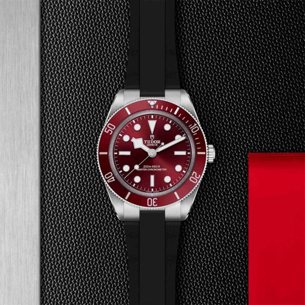 TUDOR Black Bay 58 (Ref: M7939A1A0RU-0003)