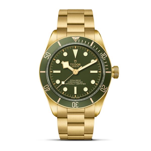 TUDOR Black Bay 58 18K (Ref: M79018V-0006)