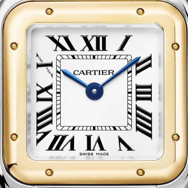 Cartier Panthère de Cartier (Ref: W2PN0018)