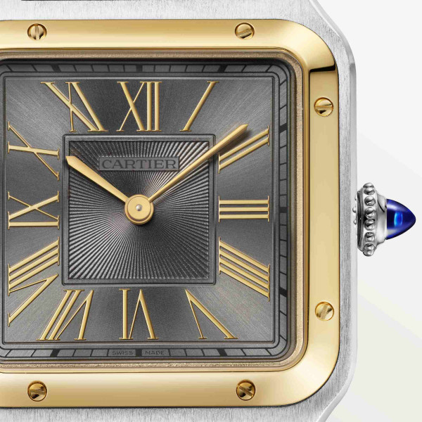 Cartier Santos de Cartier (Ref: W2SA0036)