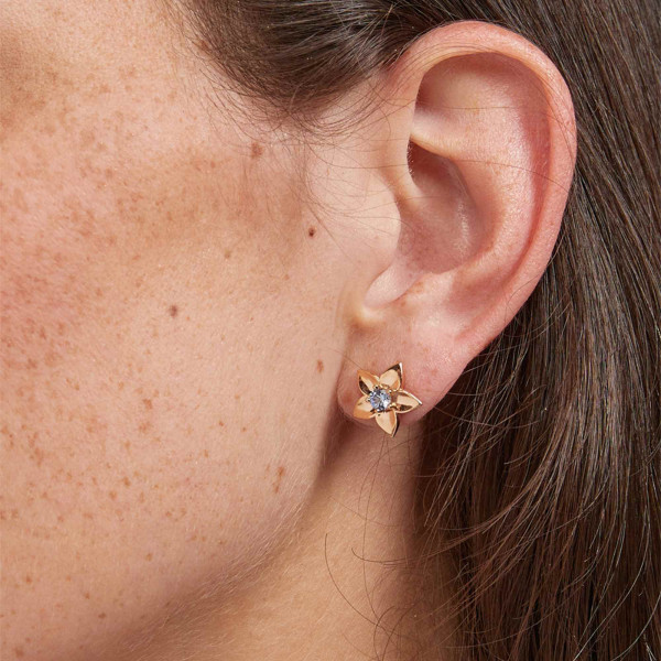 Bron Poppy Ohrschmuck (Ref: 8OR4897CS)