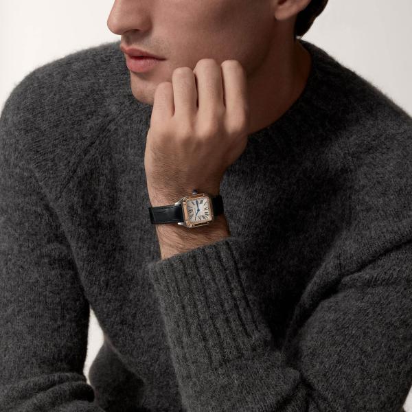 Cartier Santos-Dumont (Ref: W2SA0012)