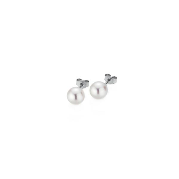 Gellner BASICS Ohrstecker  (Ref: 5-23695-02)