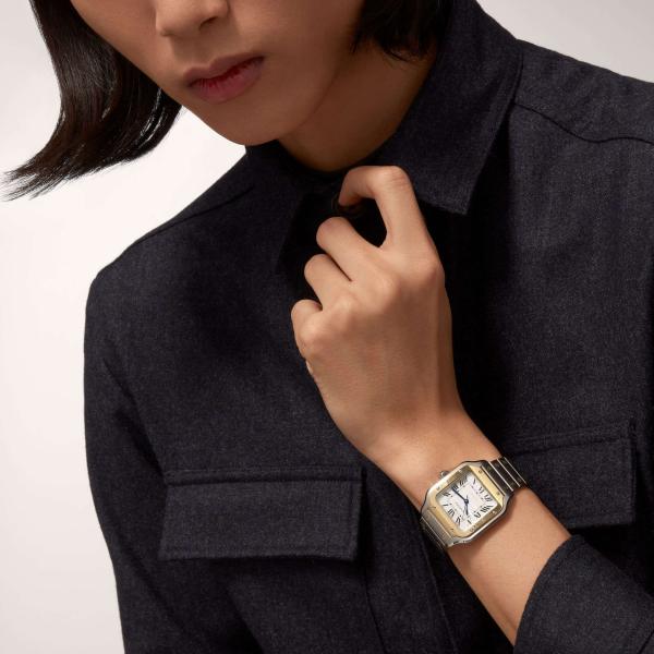 Cartier Santos de Cartier (Ref: W2SA0016)