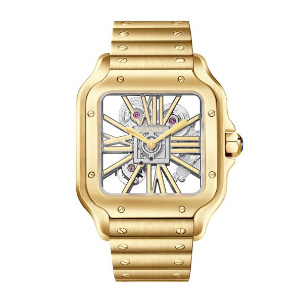 Cartier Santos de Cartier (Ref: WHSA0042)