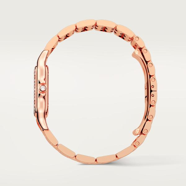 Cartier Panthère de Cartier (Ref: WJPN0009)