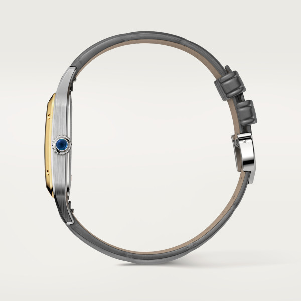 Cartier Santos de Cartier (Ref: W2SA0036)