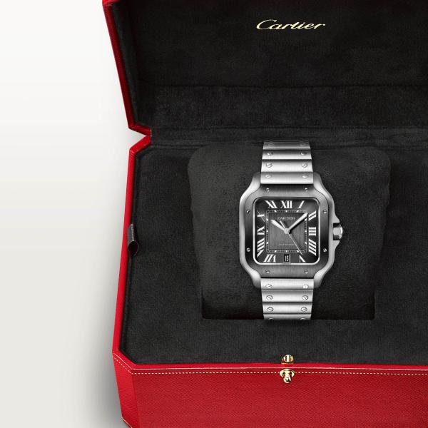 Cartier Santos de Cartier (Ref: WSSA0037)