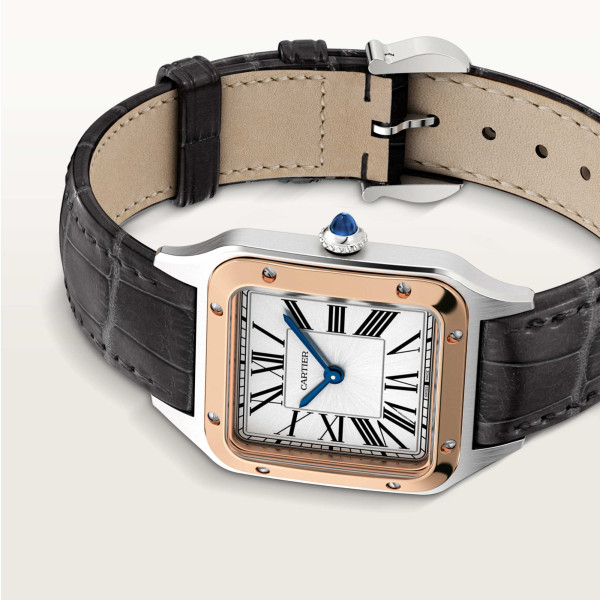 Cartier Santos-Dumont (Ref: W2SA0038)