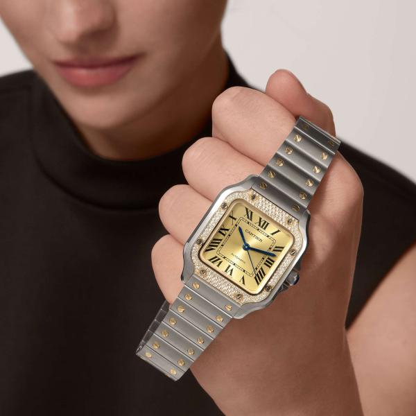 Cartier Santos de Cartier (Ref: W3SA0007)