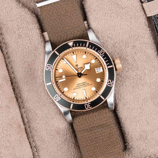 TUDOR Black Bay S&G (Ref: M79733N-0006)
