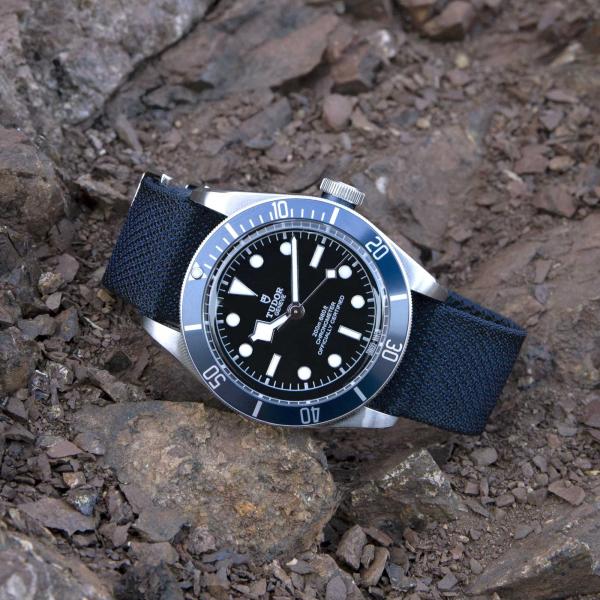 TUDOR Black Bay (Ref: M79230B-0006)