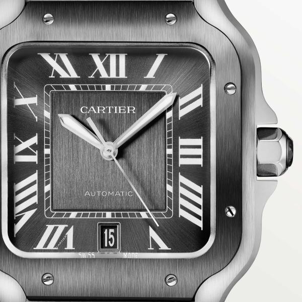 Cartier Santos de Cartier (Ref: WSSA0037)