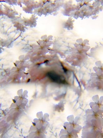 2019 Shooting Paris 36