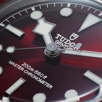 2025 TUDOR BLACK BAY 58 Kachel 3