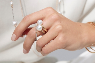 2023 Gellner Kategoriekachel Ringe quer