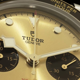 TUDOR-2021-S38-10356