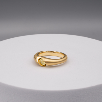 2023 Shooting Jubiläumsstück Schaffrath 6