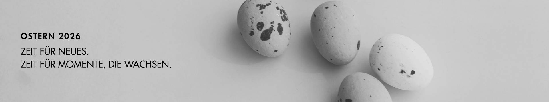 blog_banner_3840x720