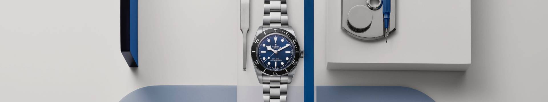 2025_TUDOR_BLACK BAY 68_Banner_D