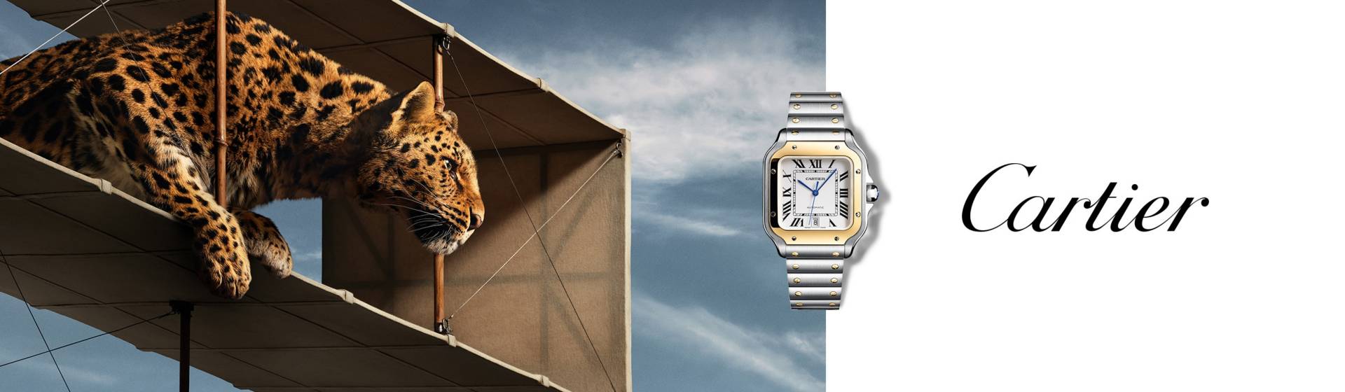cartier-banner-desktop