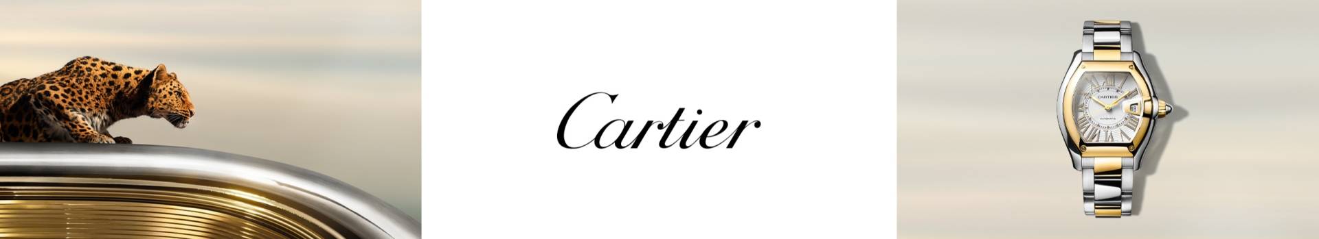 cartier-desktop-banner-2560x465