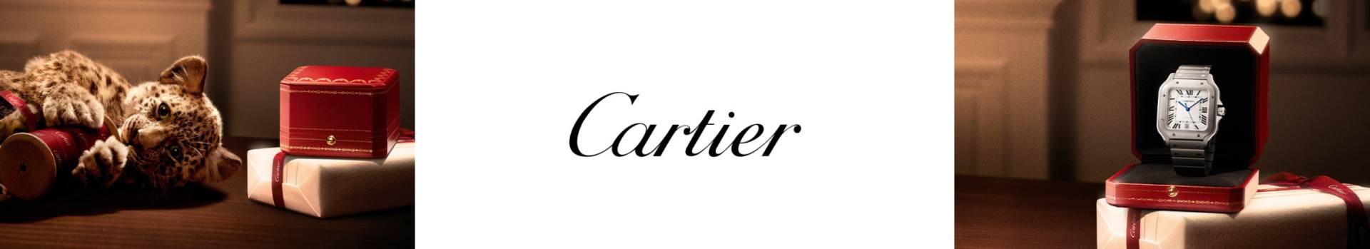 cartier-desktop-banner-2560x465