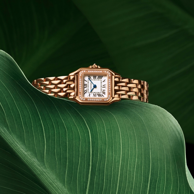 PUWA11135 PANTHERE PG WJPN0049 1080x1080.jpg