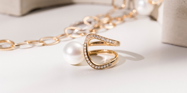 gellner-ringe-banner-mobil